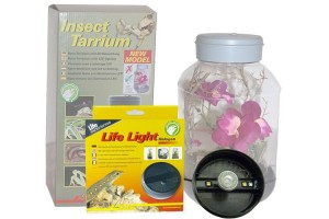 Insect Tarrium + système pour Halogène